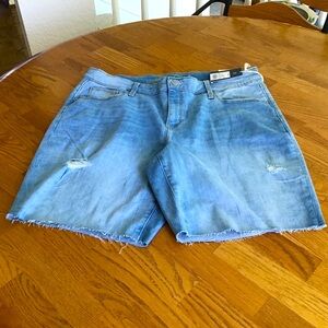 Jean Shorts (plus sizes) (NWT)